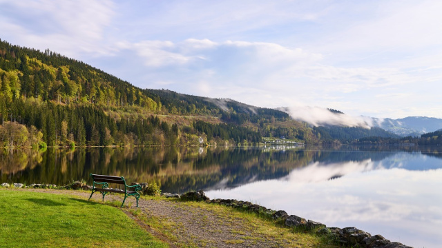 Titisee