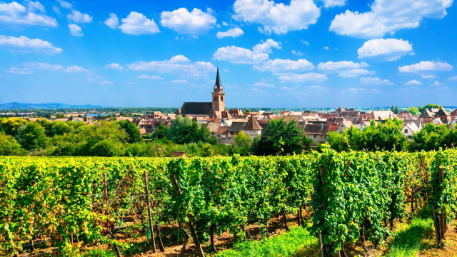 Ruta del vino alsaciano